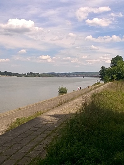 WP_20170511_001.jpg